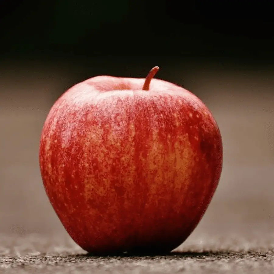 Large juicy red apple