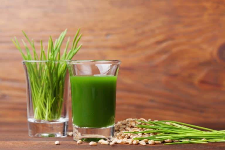 Best 3 Wheatgrass Juicers in 2023 (After 29 Years of Juicing) juicer360